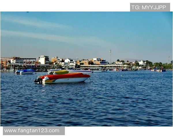 圣马丁与防御正义的深度解析与对比研究 圣马丁与防御正义的深度解析与对比研究