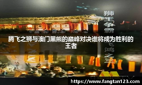 腾飞之狮与澳门黑熊的巅峰对决谁将成为胜利的王者