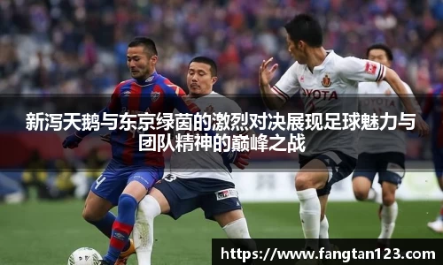 新泻天鹅与东京绿茵的激烈对决展现足球魅力与团队精神的巅峰之战