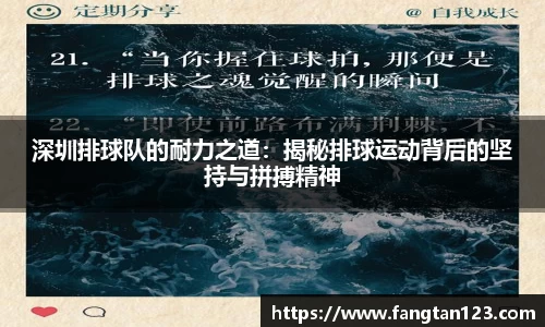 深圳排球队的耐力之道：揭秘排球运动背后的坚持与拼搏精神